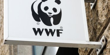 d9d876259db6ef407417476b95ef64eb